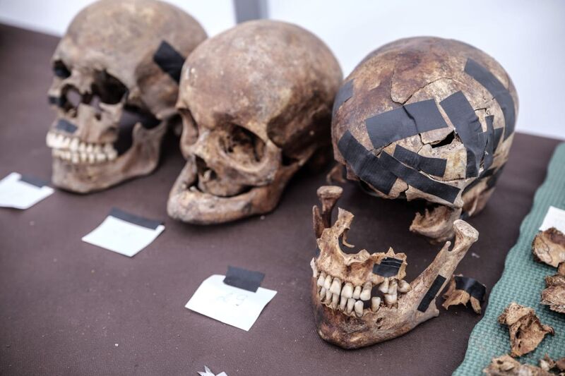 Prace archeologiczne nad jeziorem Borówno. Fot. Daniel Frymark