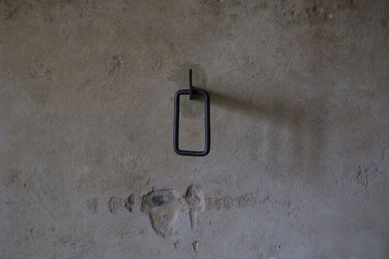 Konferencja prasowa w 75. rocznicę zamordowania rotmistrza Witolda Pileckiego – Warszawa, 24 maja 2023. Fot. Mikołaj Bujak (IPN)