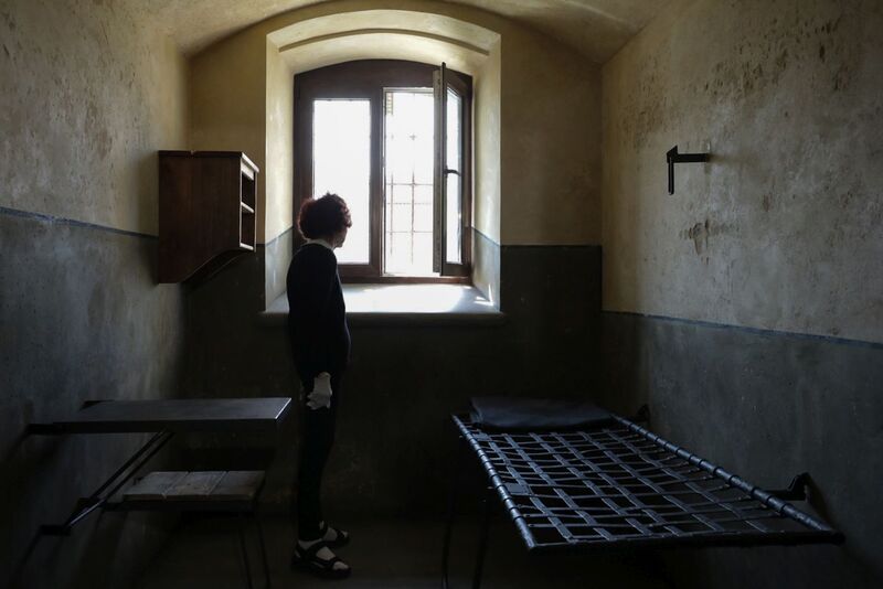 Konferencja prasowa w 75. rocznicę zamordowania rotmistrza Witolda Pileckiego – Warszawa, 24 maja 2023. Fot. Mikołaj Bujak (IPN)