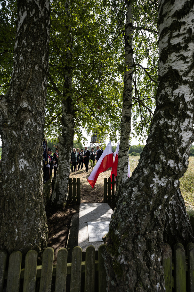 Upamiętnienie Witolda Budziewicza