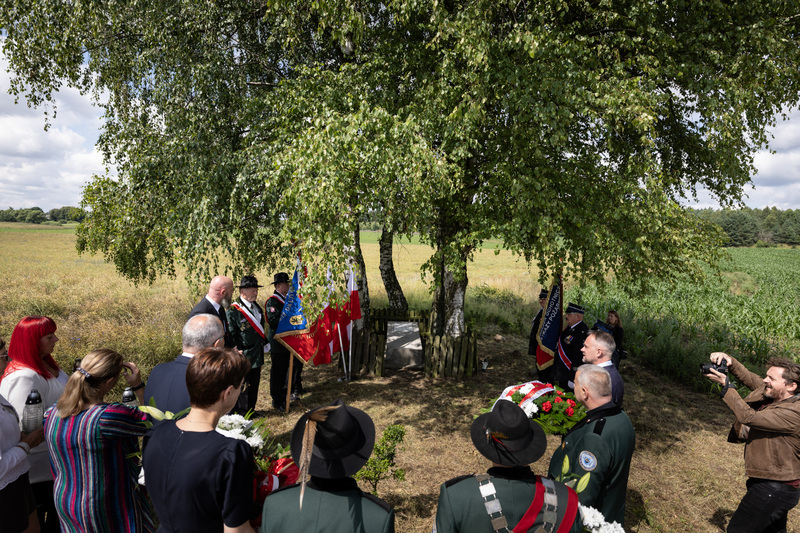 Upamiętnienie Witolda Budziewicza