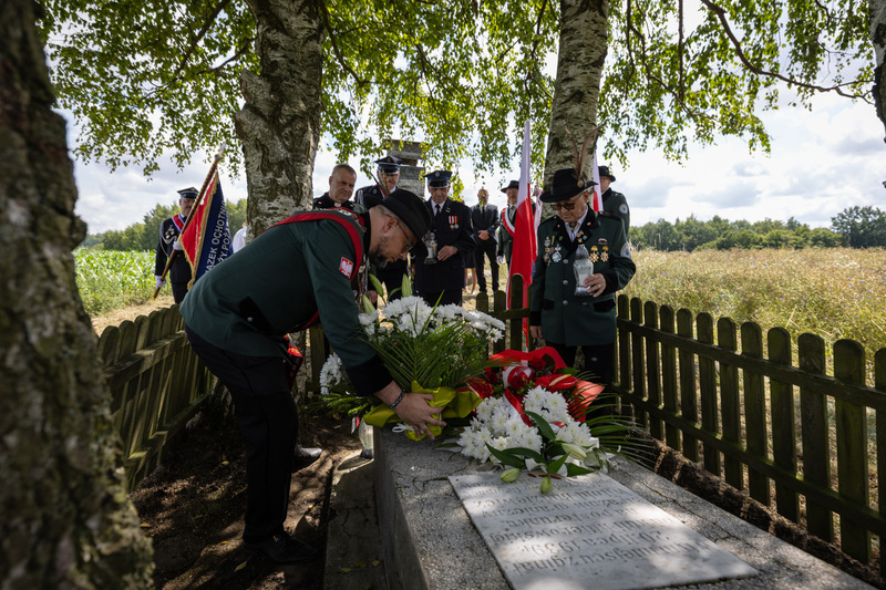 Upamiętnienie Witolda Budziewicza