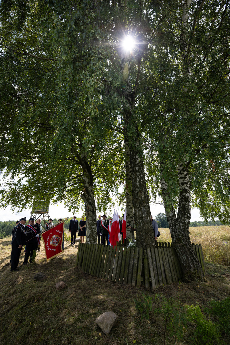 Upamiętnienie Witolda Budziewicza
