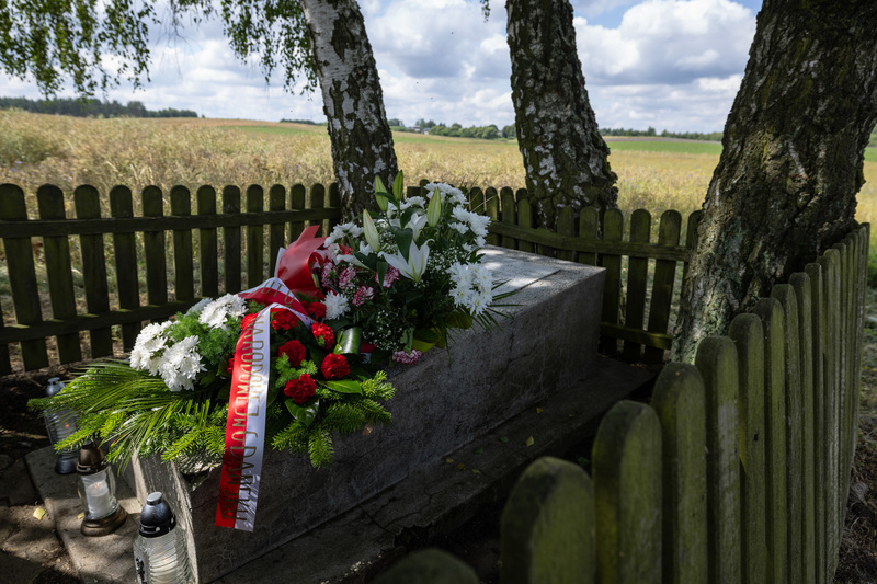 Upamiętnienie Witolda Budziewicza