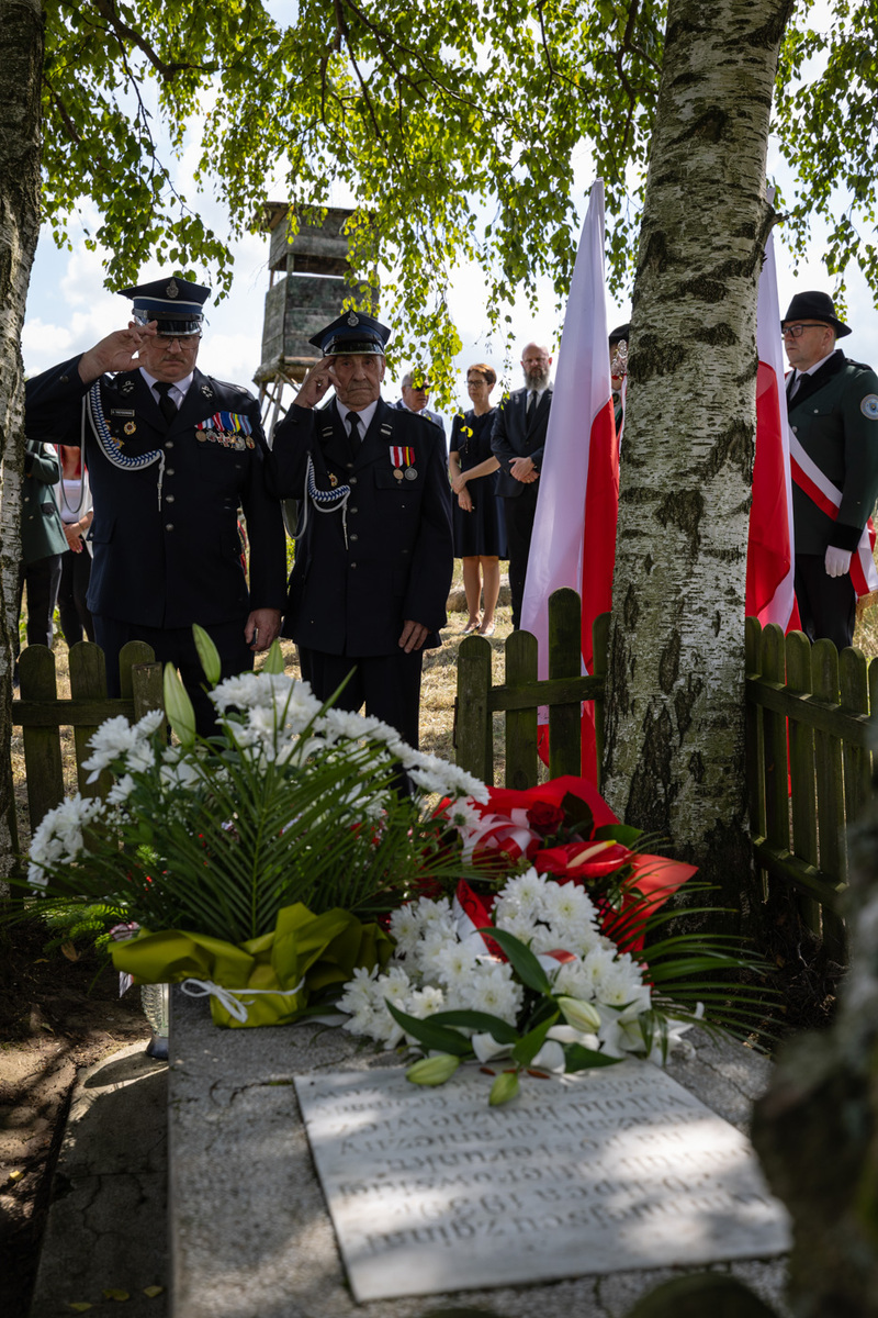 Upamiętnienie Witolda Budziewicza