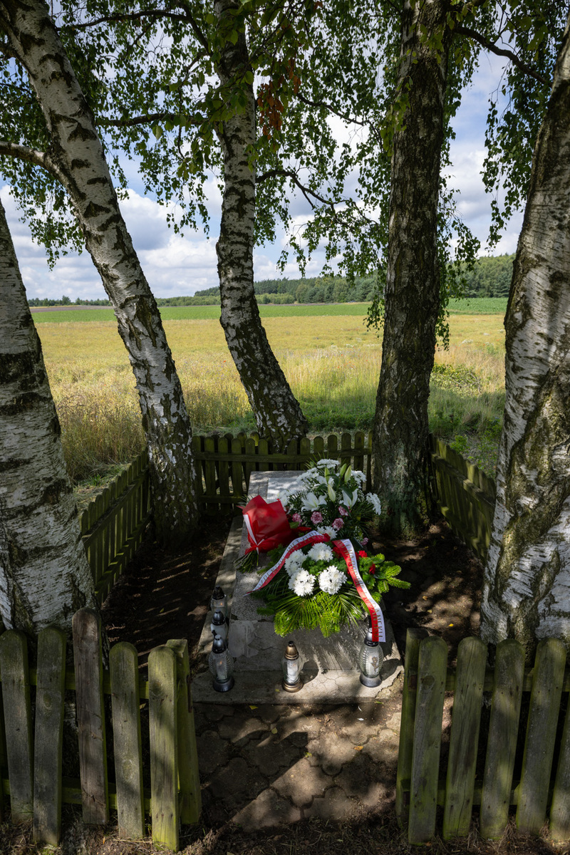 Upamiętnienie Witolda Budziewicza