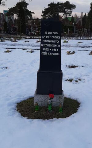 Delegacja IPN Gdańsk na czele z prof. Mirosławem Golonem 27 stycznia złożyła kwiaty na grobie około 150 żydowskich więźniarek zamordowanych w podtoruńskim obozie w miejscowości Chorab (podobóz KL Stutthof).  Ponadto kwiaty zostały złożone przy pomniku ponad 300 polskich dzieci zmarłych z winy niemieckich okupantów w obozie „Szmalcówka” (Cmentarz Ofiar II Wojny Światowej przy ul. Grudziądzkiej w Toruniu).