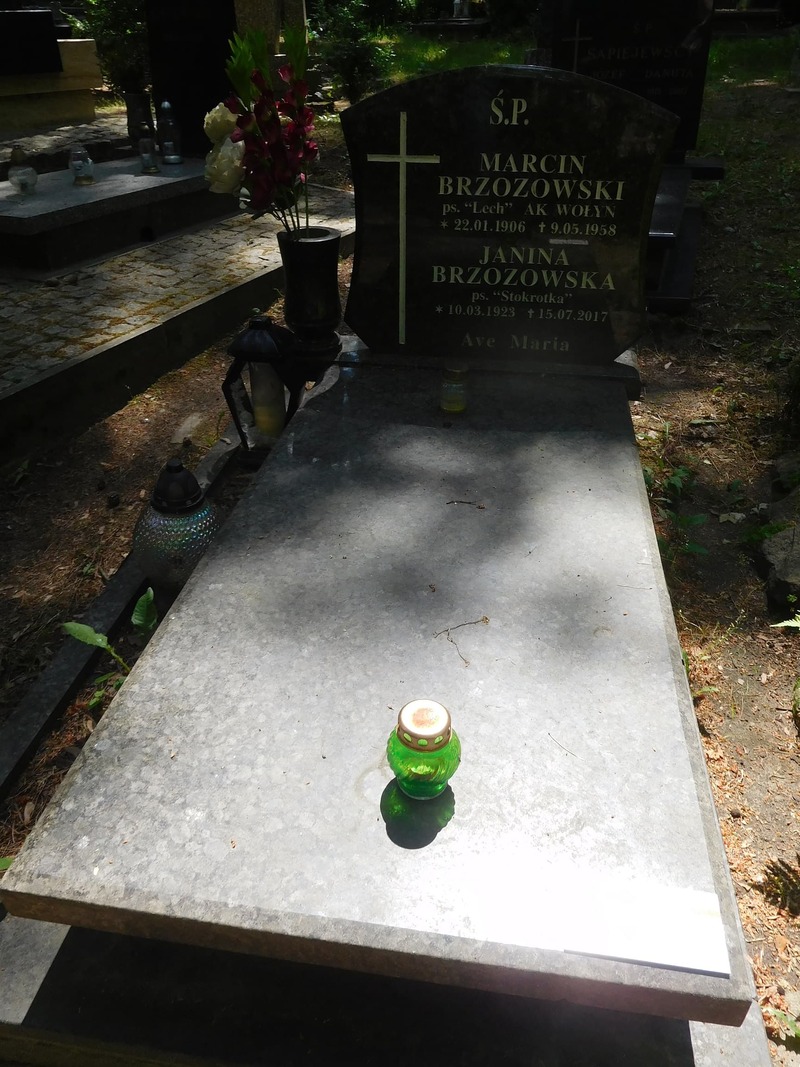 Grób Marcina i Janiny Brzozowskich