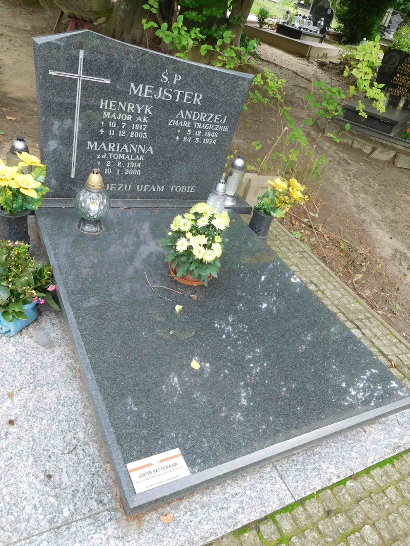 Grób Henryka Mejstera